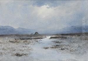 Moorland Scene Moorland Scene
