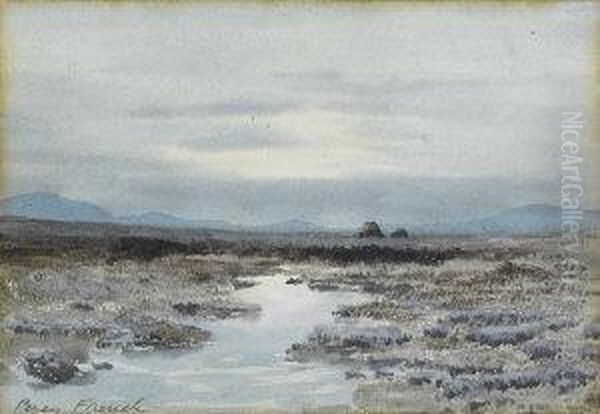 A Bog At Dusk - view 1