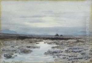 A Bog At Dusk A Bog At Dusk