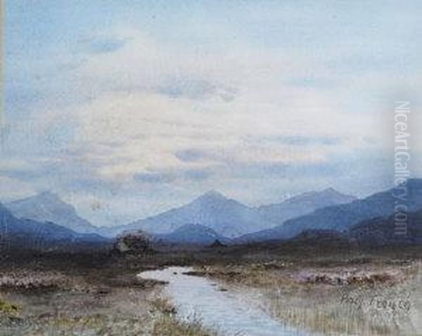 Bogland View - view 1
