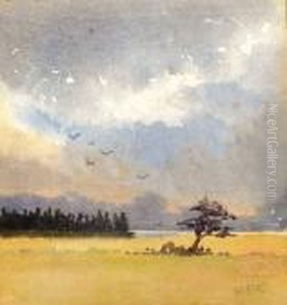 Landscape - view 1