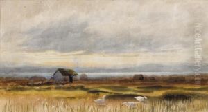 Bog Scene