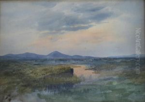 Croagh Patrick Watercolour, Sketch Of A Grassy Bank Verso