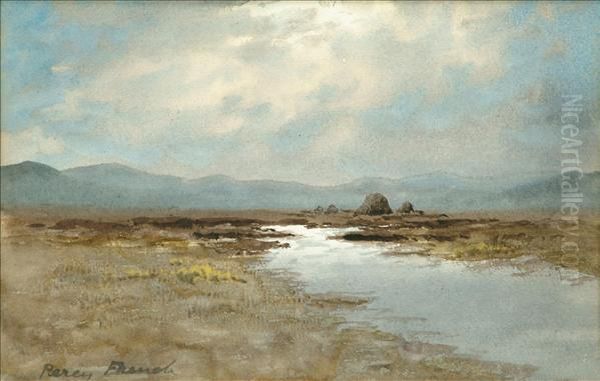 Moorlandstream - view 1