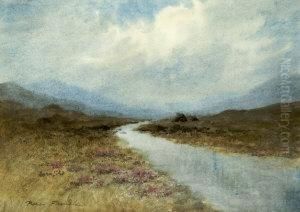A Bogland River