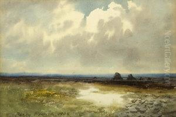 Bogland - view 1