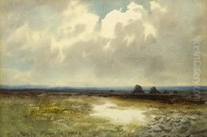 Bogland