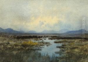 Bogland At Dusk