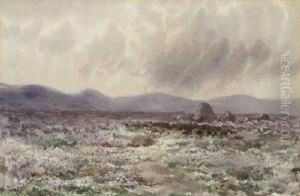 Turf Stacks & Bogland, Connemara by William Percy French