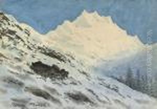 Alpine Landscape - view 1