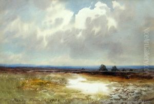Sunlit Moors