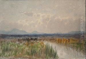 Bog Scene, West Of Ireland