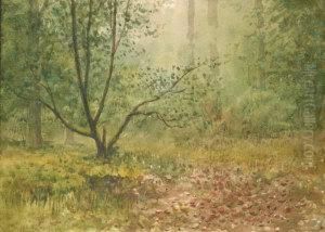 Woodland Scene by William Percy French