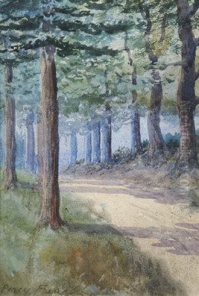 A Path Through Trees - view 1
