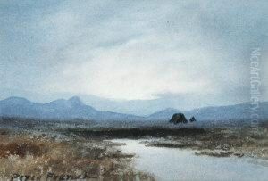 West Of Ireland Bogland At Dusk by William Percy French