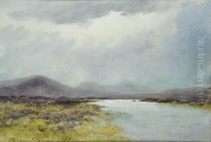Heather By A Bogland River