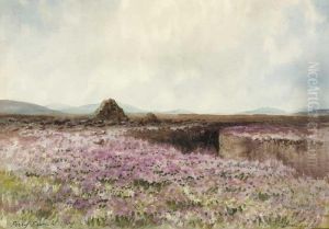 Donegal by William Percy French