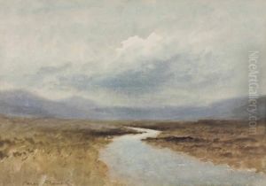 Stream Through The Boglands