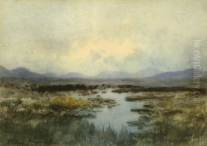 Moorland Moorland