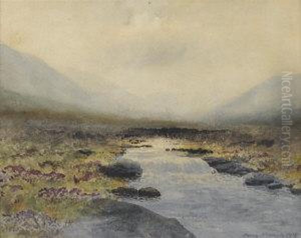 Connemara - view 1