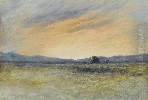 A Bog At Sunset by William Percy French