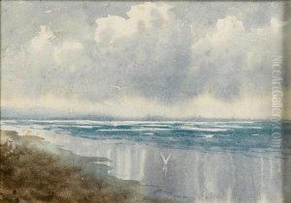 Coastal Scene With Seaegulls - view 1