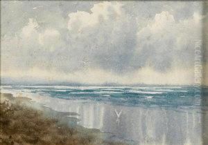 Coastal Scene With Seaegulls