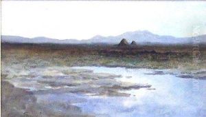 A Donegal Bog by William Percy French