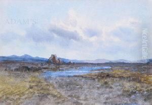 Bog Landscape