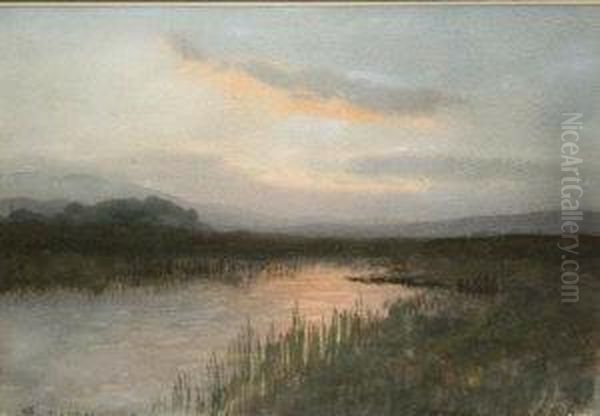 Mooreland Stream At Sunset - view 1