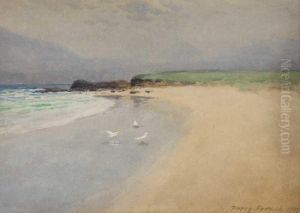 Renvyle, County Galway