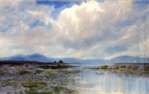 Extensive Bogland Scene With Mountains Beyond