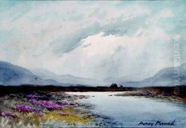 Bog Landscape - view 1