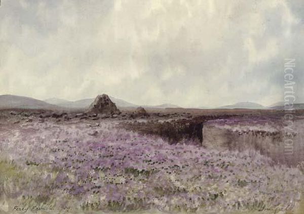Donegal Landscape - view 1