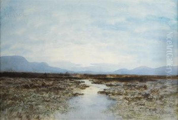 Connemara Landscape - view 1