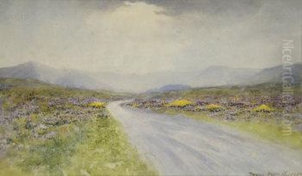 Western Landscape In Spring - view 1