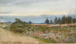 The Bog Of Allen