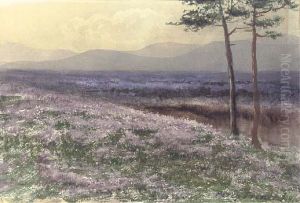 A Field Of Heather With The Twelve Pins Of Connemara In The Distance by William Percy French