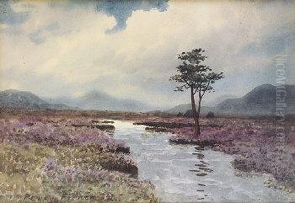 A Lone Tree In A Bo Landscape - view 1