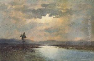 Sunlight On A River And Bog Landscape