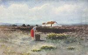 Girl In A Red Shirt Gathering Turf