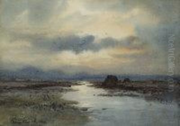 Sunset Through Mist - view 1