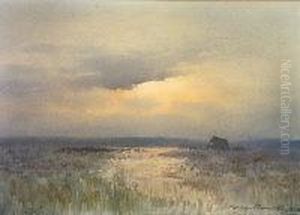 Sunset On The Bog Of Allen