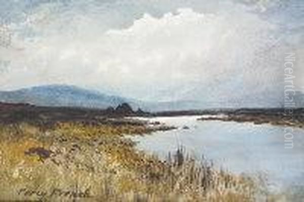 Bog Landscape With River - view 1