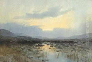 A Peat Bog At Dusk A Peat Bog At Dusk