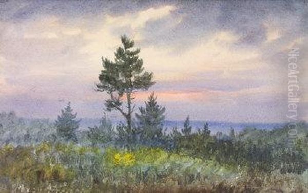 Twilight Through Trees - view 1