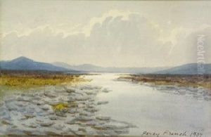 Bog Landscape