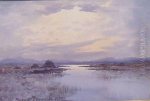 Sunrise On A Bog by William Percy French