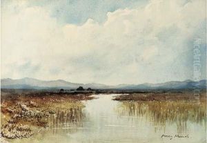 The Clady River The Clady River