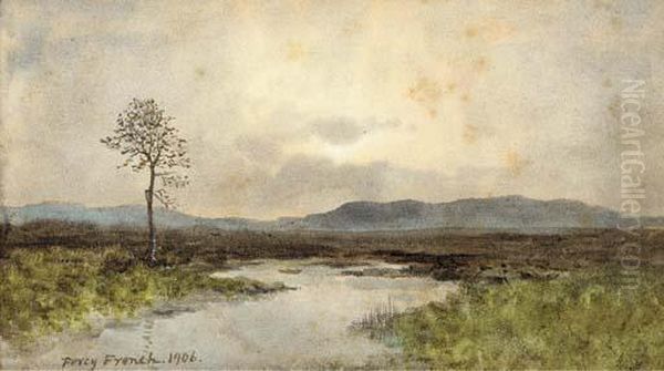 Evening, Moorland - view 1